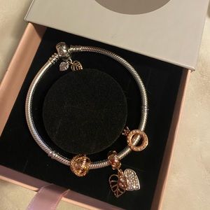 Pandora charm bracelet set brand new